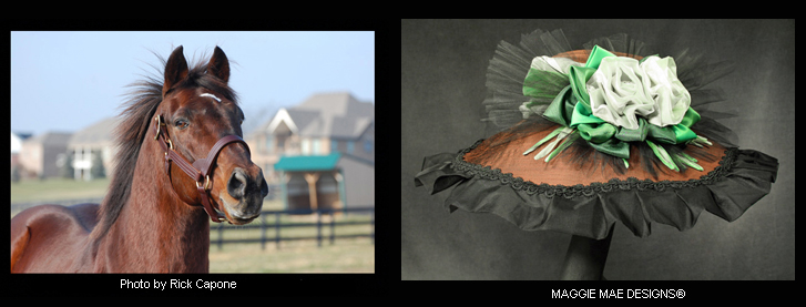 The "Gulch" auction hat from "Hats Off to the Horses", Season 2