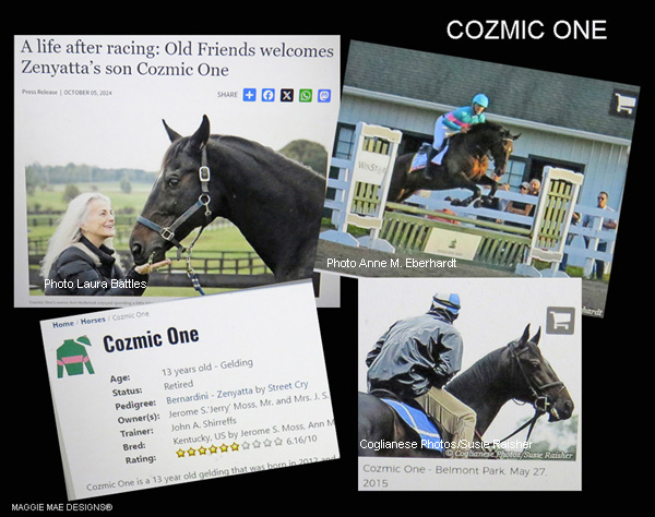 The racehorse Cozmic One's racing and jumping career before retirement to Old Friends