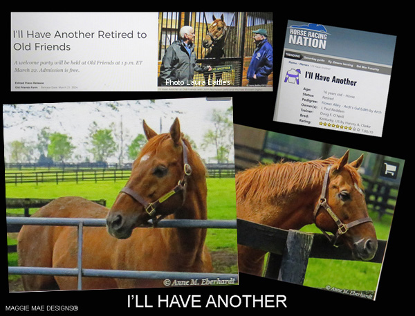 Racehorse I'll Have Another's career before retiring to Old Friends