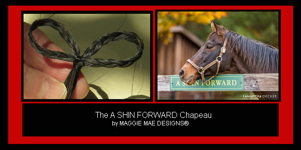 A horsehair heart for A Shin Forward