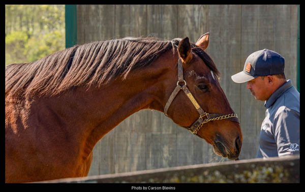 Kentucky Derby and Preakness winner, Big Brown retires to Old Friends!